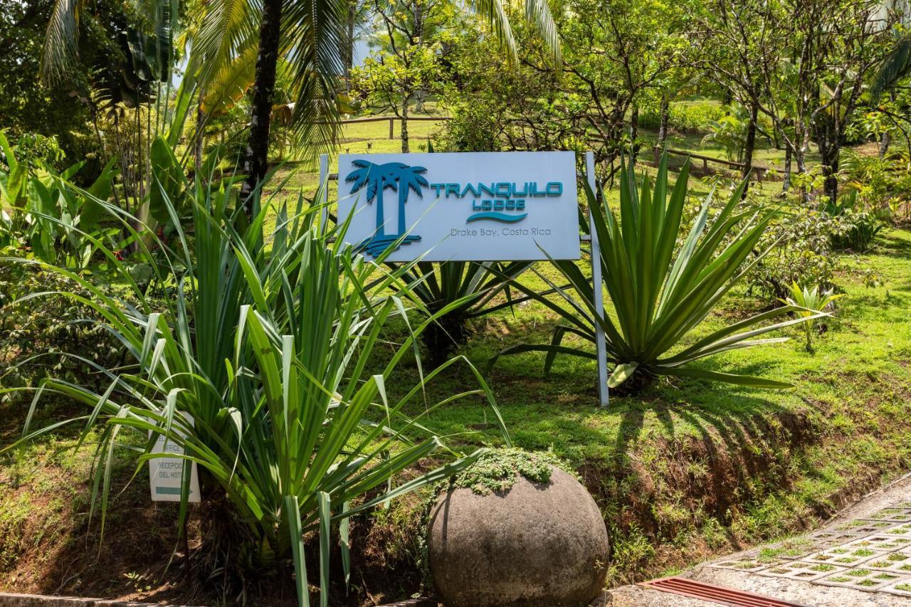 The Tranquilo Lodge, Adult Only, All Meals Included Drakes Bay Exteriér fotografie